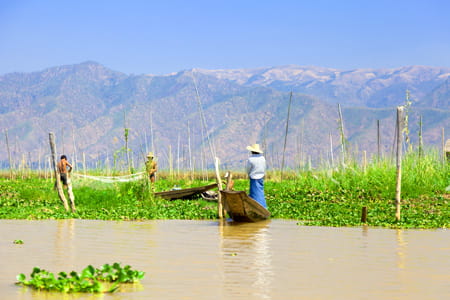 Inle Floating Gardens